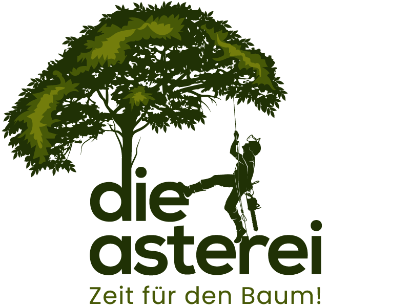 Die Asterei